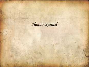 Hando Runneli elulugu ja luule