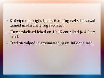 KOHV- joogiõpetus #16