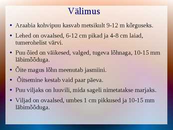 KOHV- joogiõpetus #19