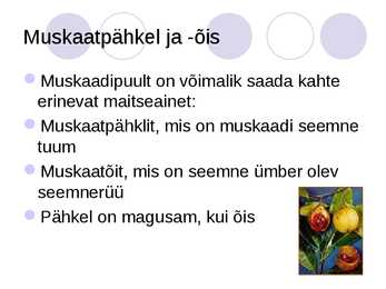 Vürtsid #13