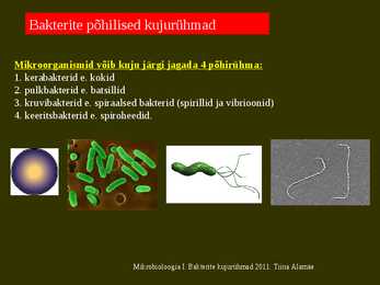 Bakterite kujurühmad #2