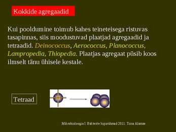 Bakterite kujurühmad #11