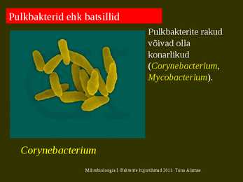 Bakterite kujurühmad #26