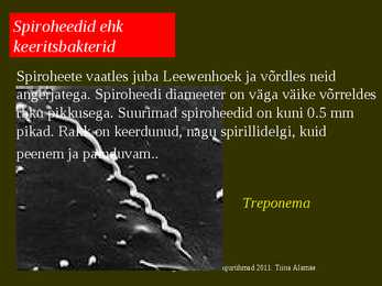 Bakterite kujurühmad #35