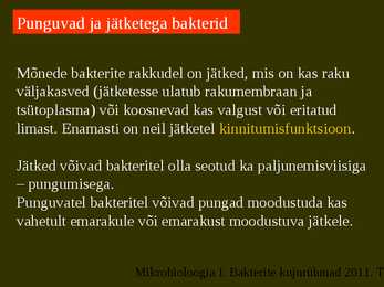 Bakterite kujurühmad #48