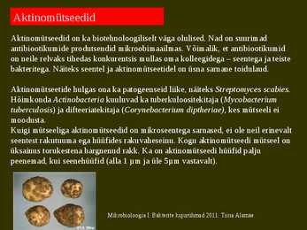 Bakterite kujurühmad #62