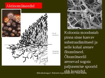 Bakterite kujurühmad #66