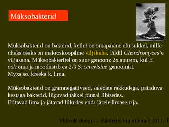 Bakterite kujurühmad #76