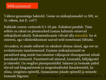 Bakterite kujurühmad #89