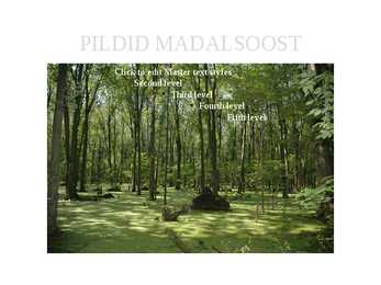 MADALSOO #3