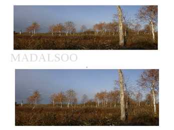 MADALSOO