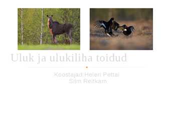 Uluk ja ulukiliha toidud