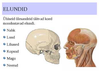 ELUNDKONNAD #2