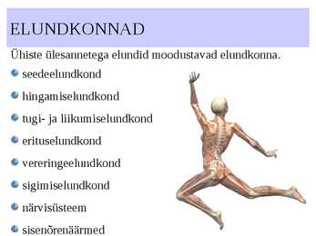 ELUNDKONNAD #3