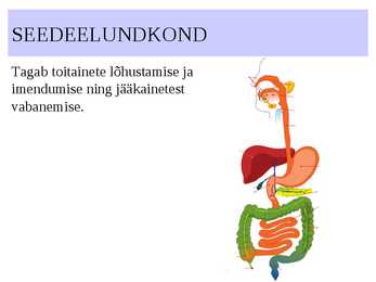 ELUNDKONNAD #4