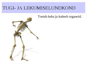 ELUNDKONNAD #6