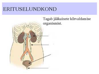 ELUNDKONNAD #7
