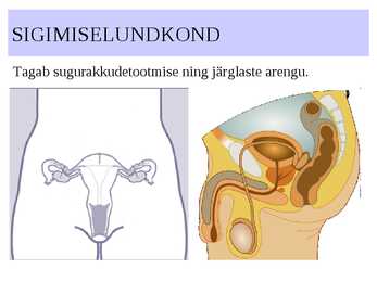 ELUNDKONNAD #9