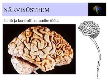 ELUNDKONNAD #10