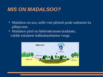 Madalsoo ülevaade #2