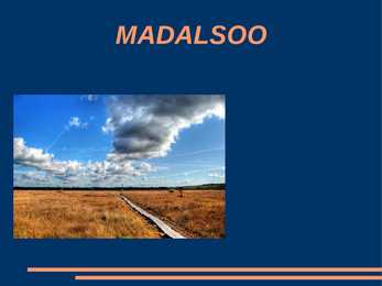 Madalsoo ülevaade