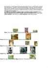 Impressionism-Postimpressionism 11-klass #3