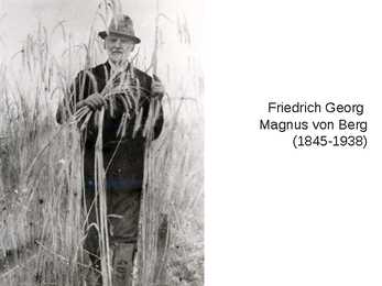 Friedrich Georg Magnus von Berg