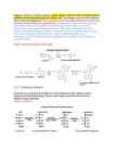 Biokeemia protokoll 1 1 1 2-lõppversioon #8