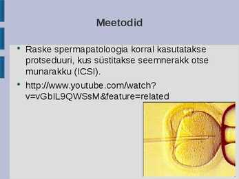 Kunstlik viljastamine ja embrüosiirdamine #8