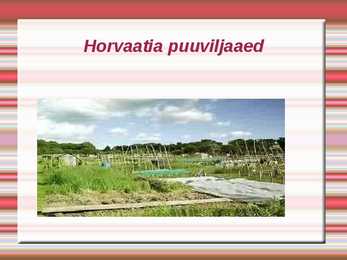 Horvaatia #22