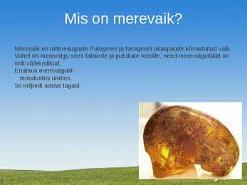 Merevaik #2