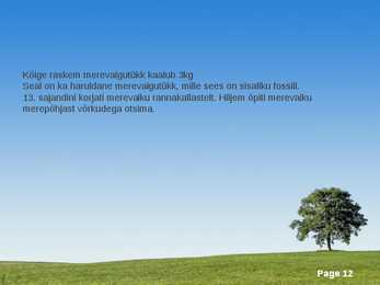 Merevaik #12