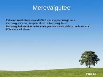Merevaik #13