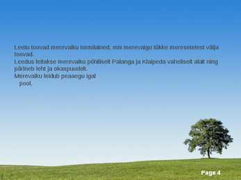 Merevaik #4