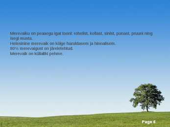 Merevaik #6