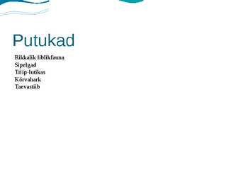 Rannaniit #11