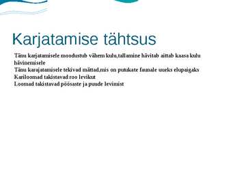 Rannaniit #16