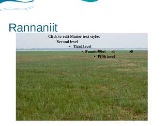 Rannaniit #18