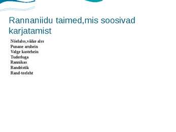 Rannaniit #3