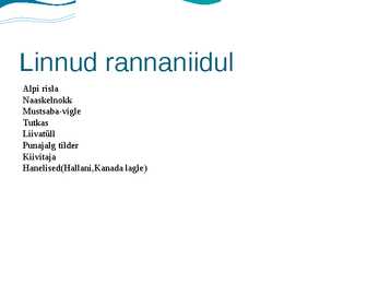 Rannaniit #6