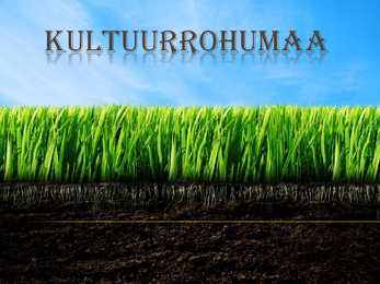 Kultuurrohumaa
