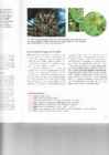 BIOLOOGIA UURIB ELU 12-klass #4