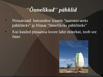 Pistaatsia #9