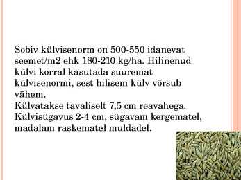 Agrotehniliste ja klimaatiliste tegurite mõju rukkijahu küpsetusomadustele #14