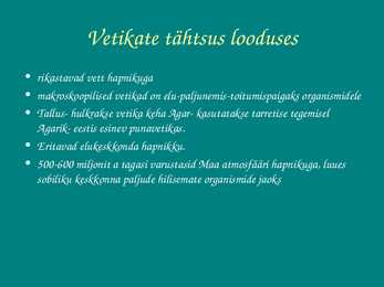 Vetikate tähtsus looduses ja inimeste elus #3