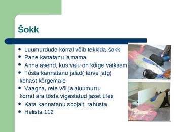 Luumurrud ja esmaabi #9