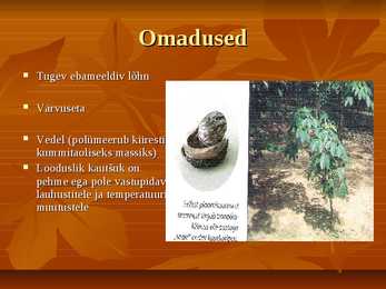 Kautšukipii mahl #2