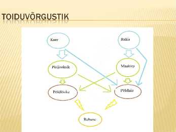 Teraviljapõld mahekasutus ja viljavaheldus #12
