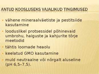 Teraviljapõld mahekasutus ja viljavaheldus #6