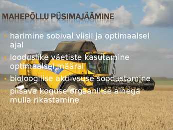 Teraviljapõld mahekasutus ja viljavaheldus #8